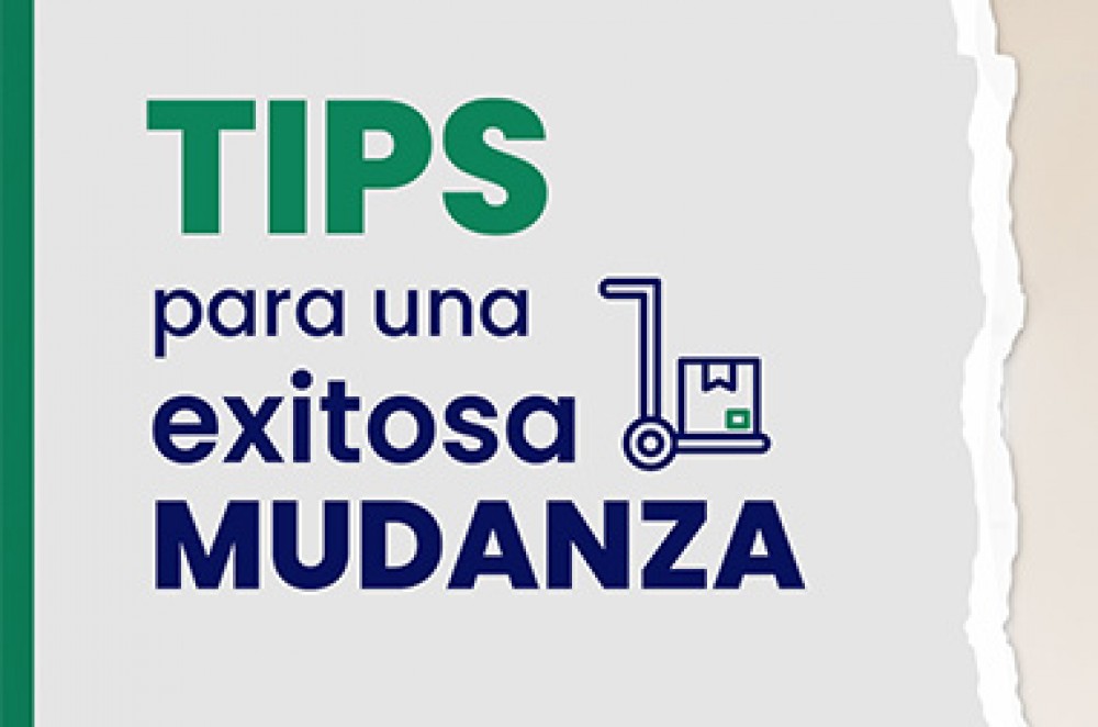 Los mejores consejos para tu próxima mudanza!