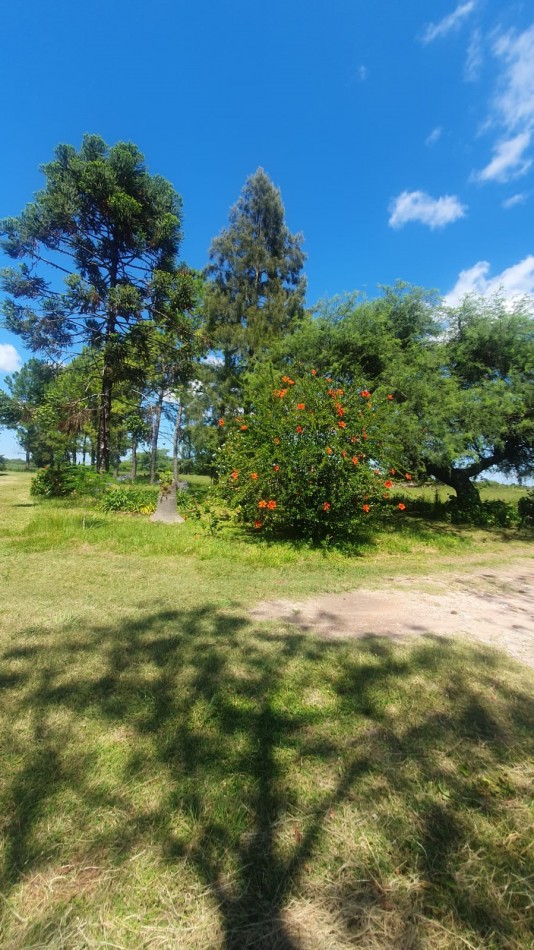 Estancia en venta ideal para ganaderia 130 has