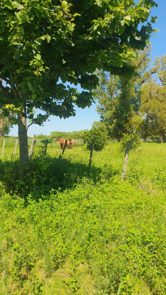 Estancia en venta ideal para ganaderia 130 has