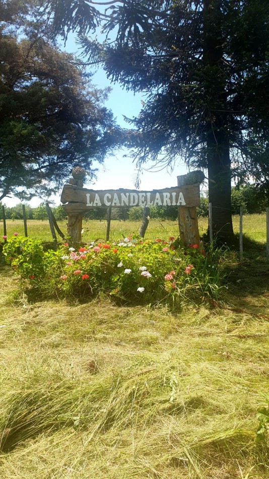 Estancia en venta ideal para ganaderia 130 has