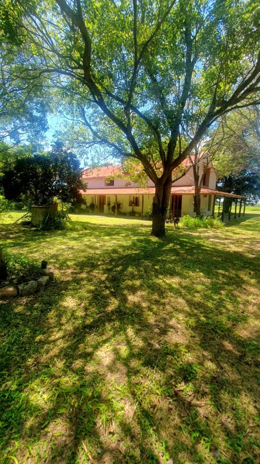 Estancia en venta ideal para ganaderia 130 has