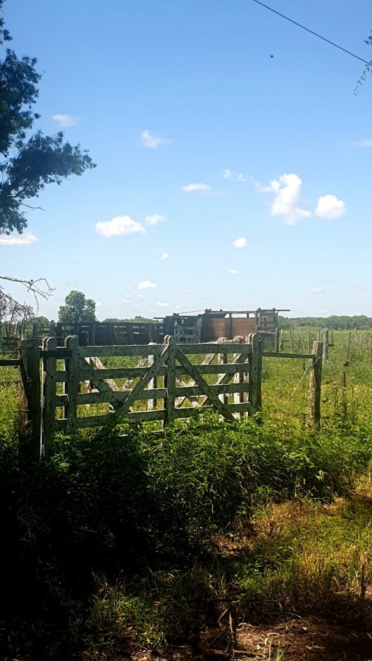 Estancia en venta ideal para ganaderia 130 has